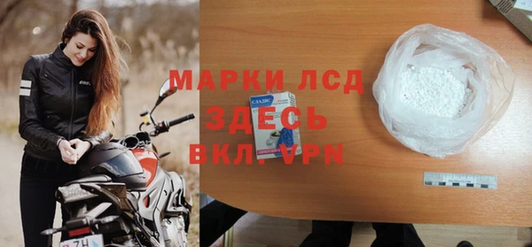 спиды Горняк