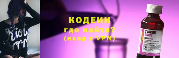 спиды Горняк