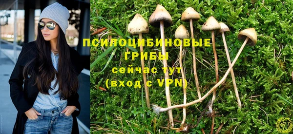 эйфоретик Горно-Алтайск