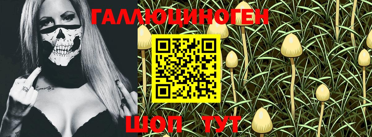 Псилоцибиновые грибы Psilocybe  Вход с VPN  Мценск  Галлюциногенные грибы Cubensis 