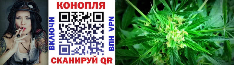 МАРИХУАНА гибрид  мега   дарк нет какой сайт  дарнет шоп  Мценск 